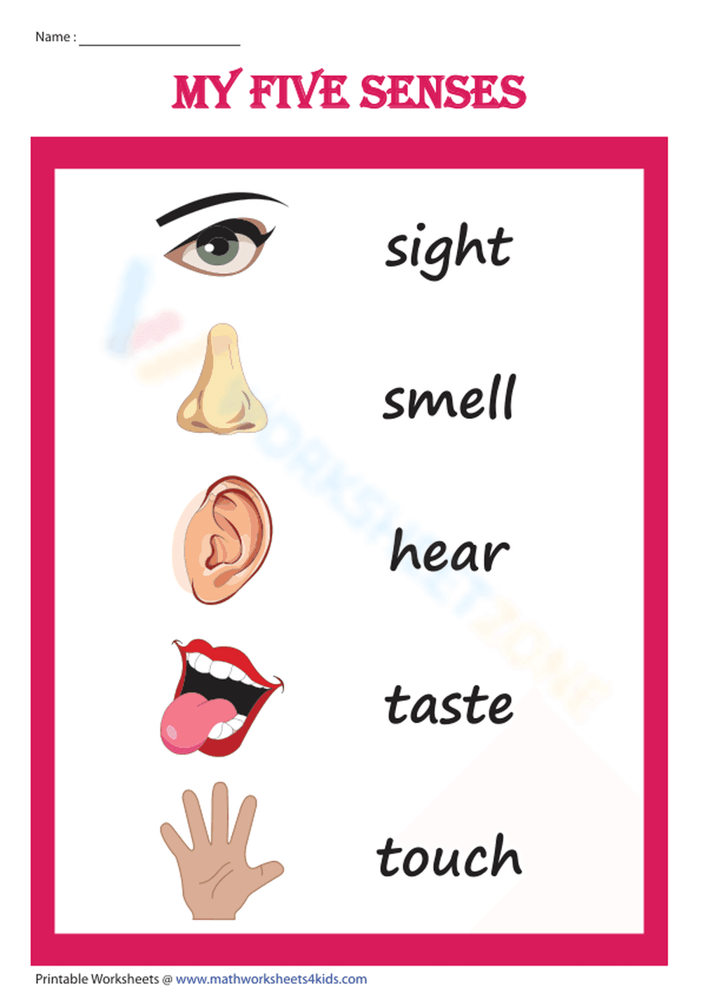 Essential Five Senses Chart for Kids | Kindergarten Science - Page 1