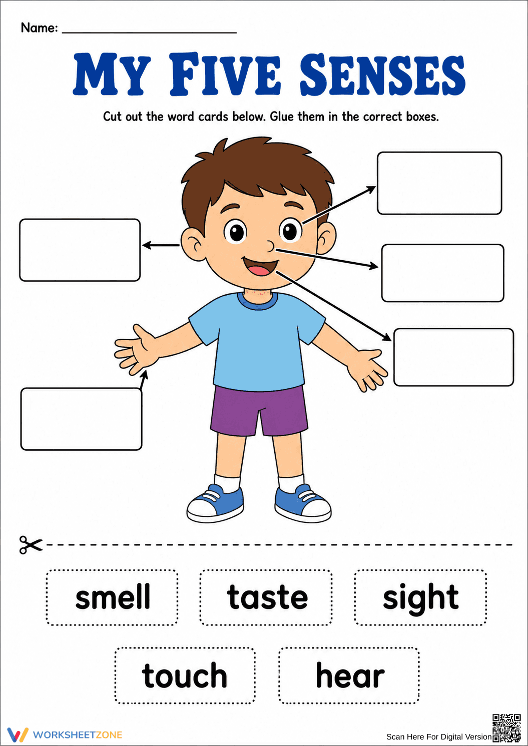 Grade 1 Five Senses — Printable No-Prep Worksheet - Page 1