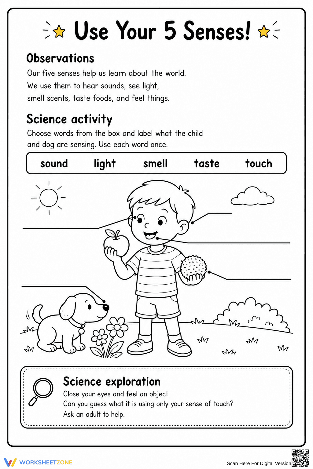 Grade 1 Five Senses — Printable No-Prep Worksheet - Page 1