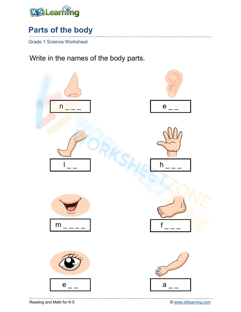 Essential Body Parts Worksheet | Grade 1 Science - Page 1
