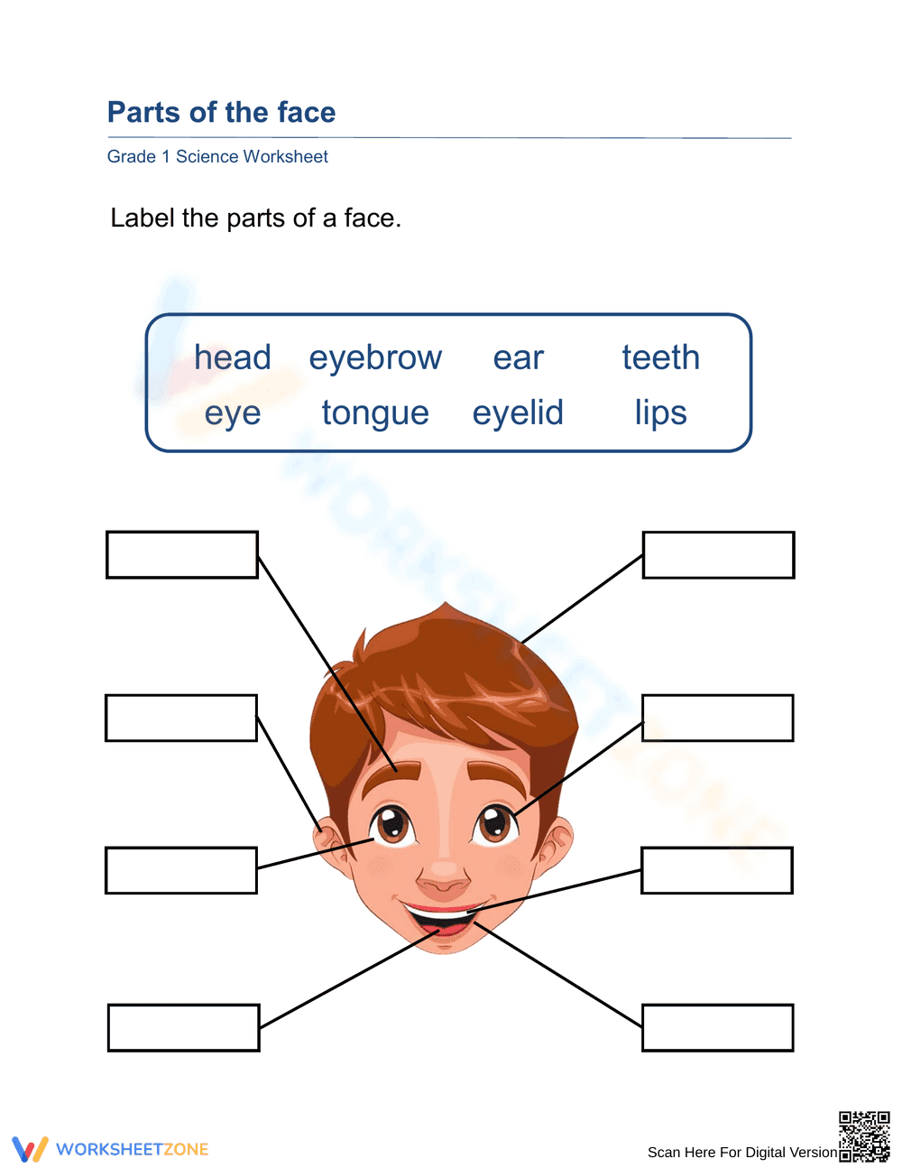 Grade 1 Parts of the Face — Printable No-Prep Worksheet - Page 1