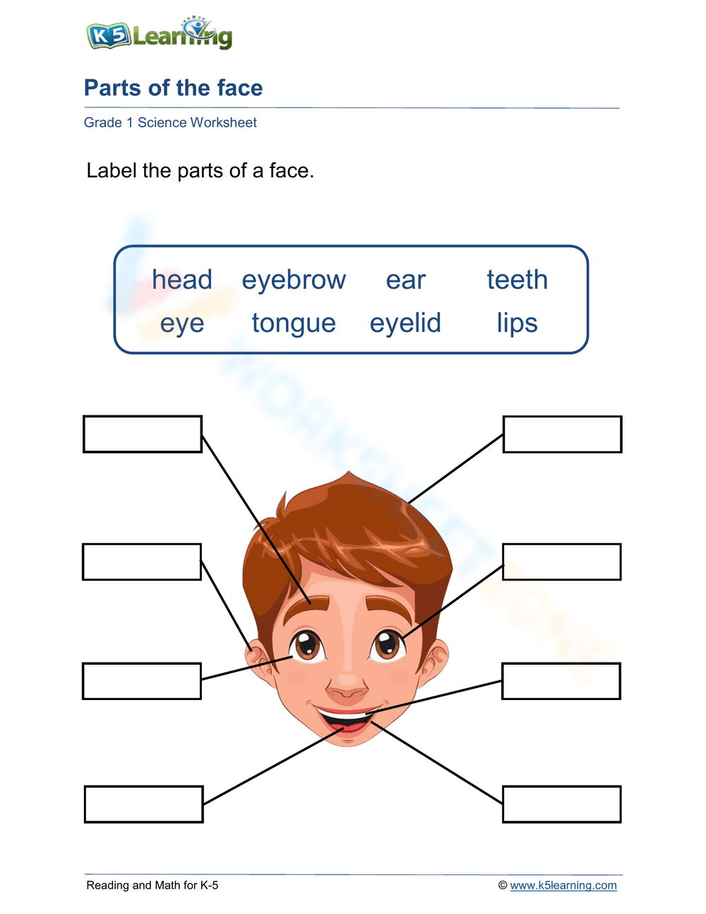 Grade 1 Parts of the Face — Printable No-Prep Worksheet - Page 1