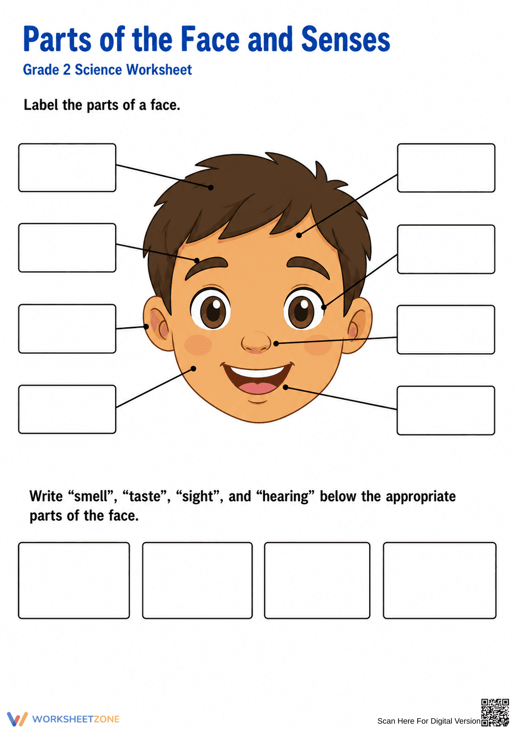 Essential Grade 2 Parts of the Face & Senses Worksheet - Page 1