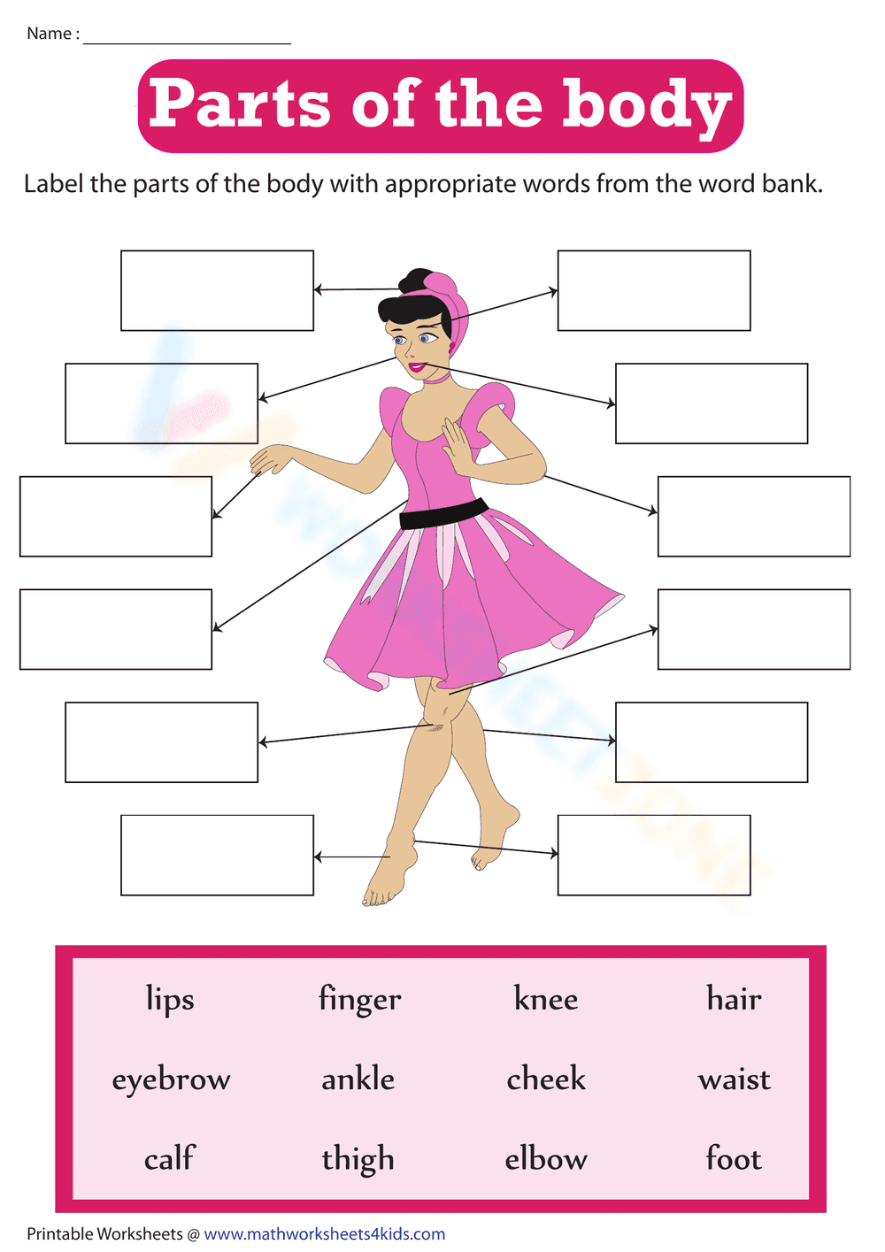 Essential Grade 2 Body Parts Labeling | Printable PDF - Page 1