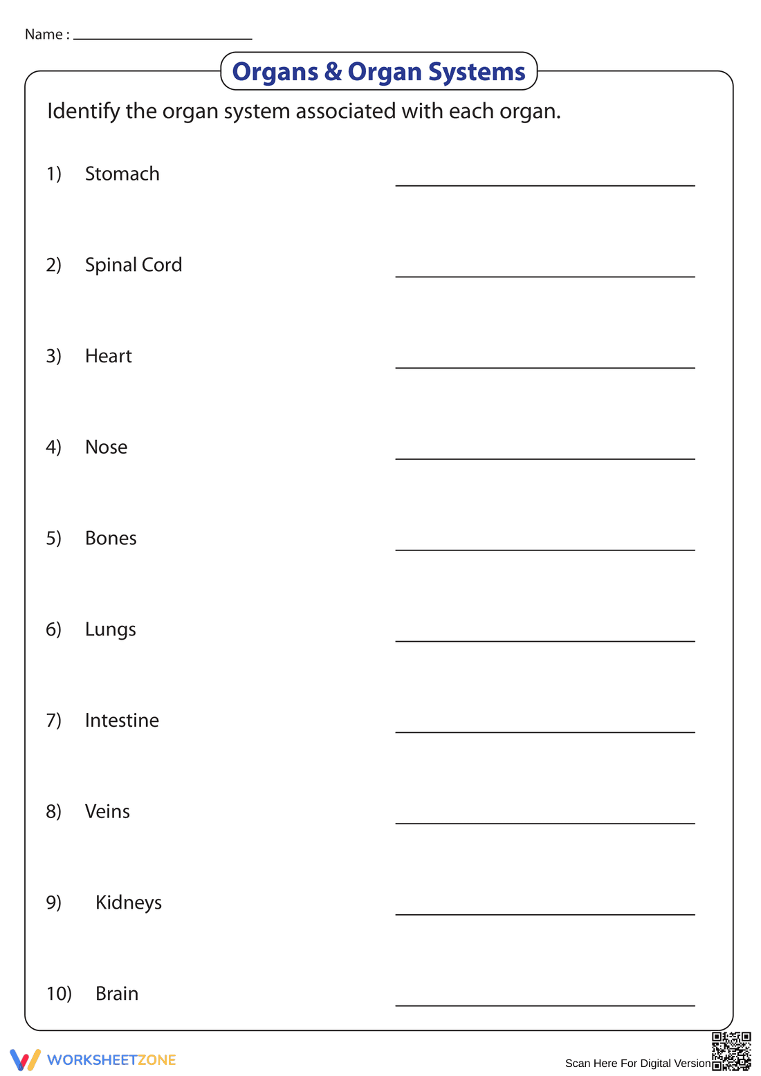 Grade 4 Organs & Organ Systems — Printable No-Prep Worksheet - Page 1