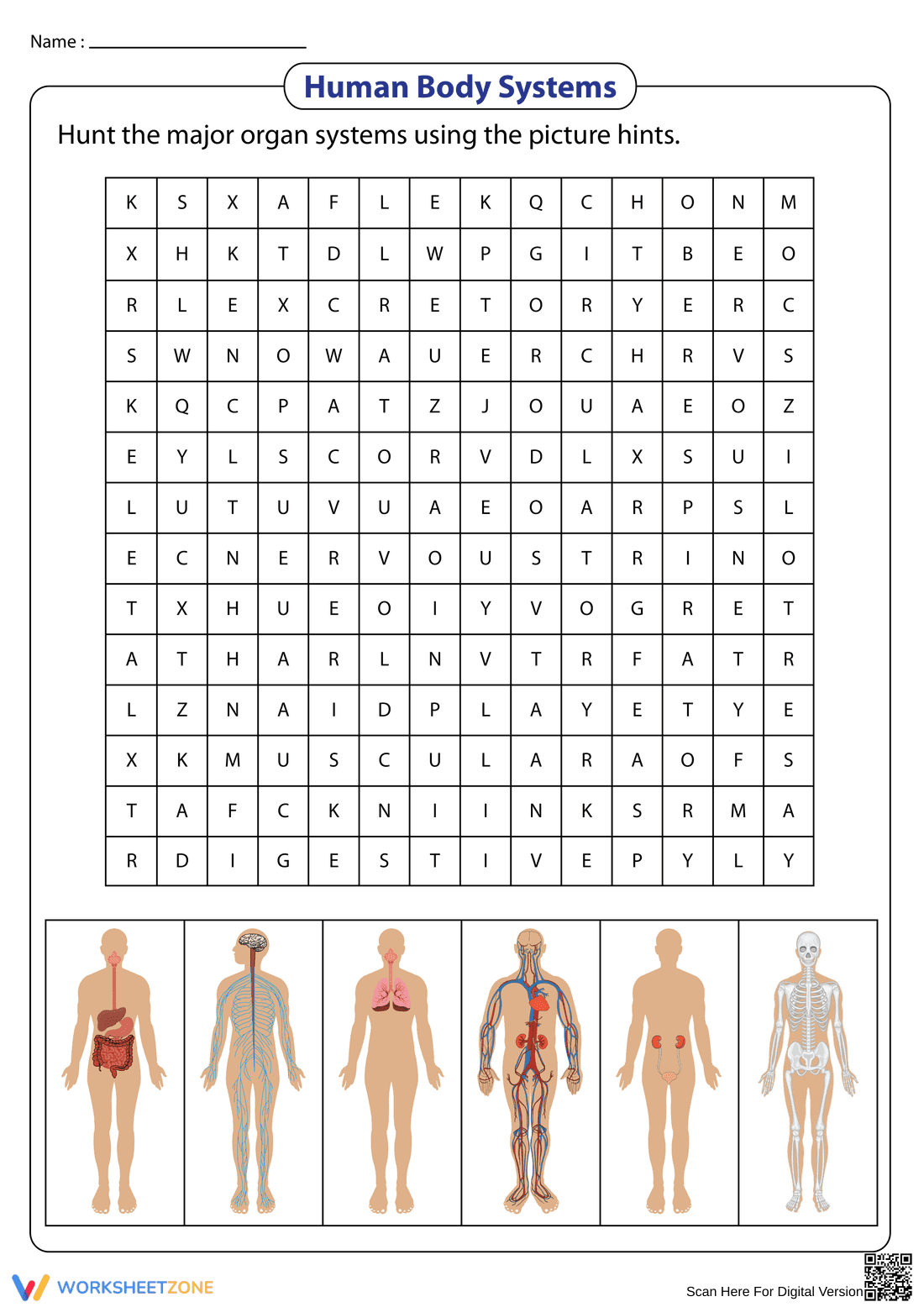 Essential Human Body Systems Word Search | Grades 5-6 - Page 1