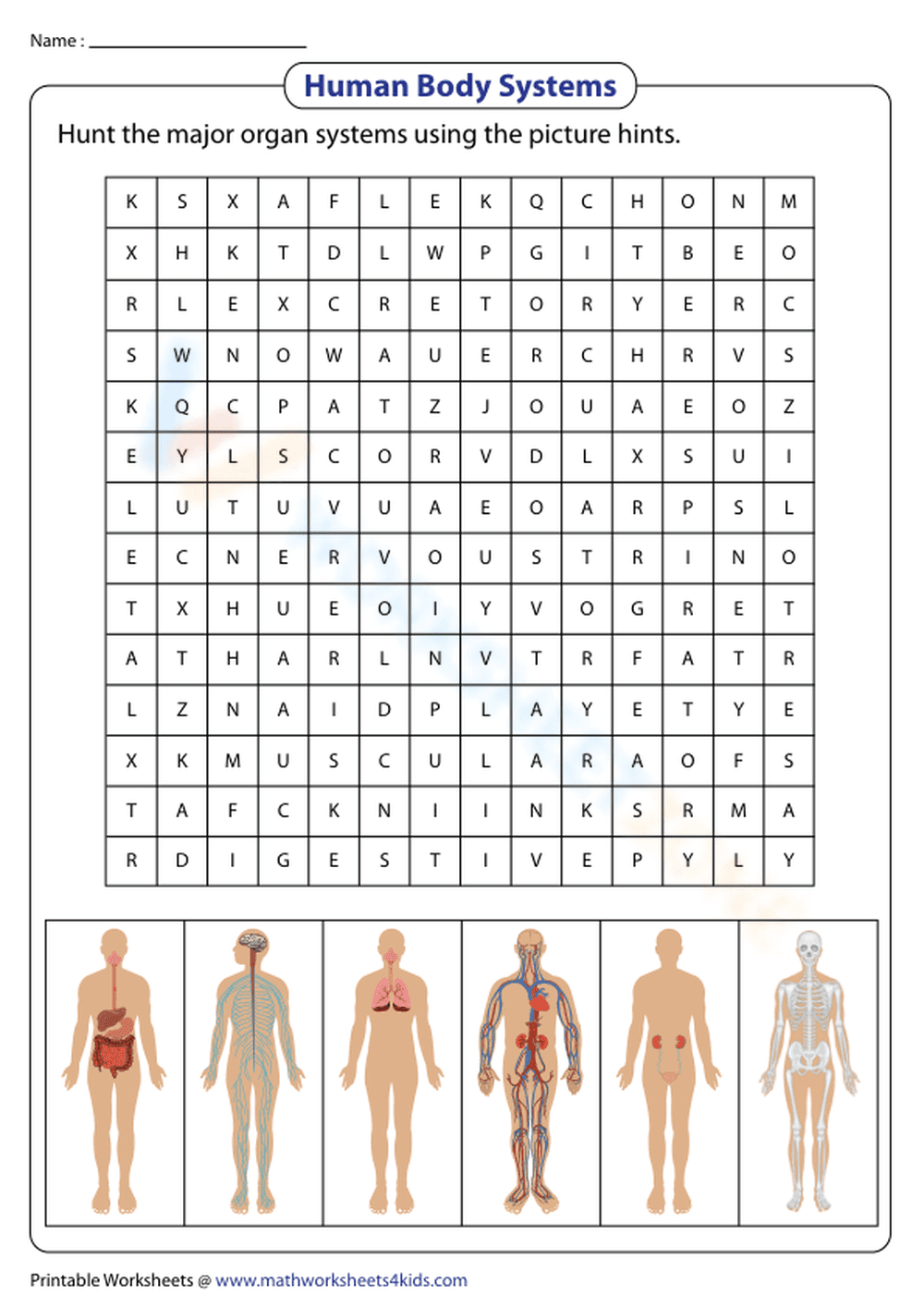 Essential Human Body Systems Word Search | Grades 5-6 - Page 1