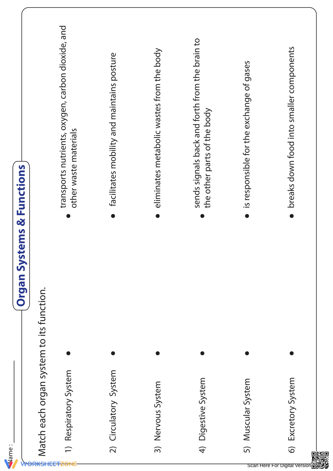Organ Systems Worksheet | Grade 5-6 Essential Science - Page 1
