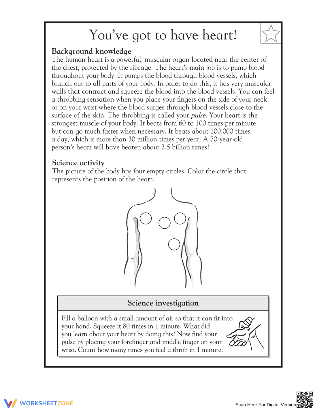 Essential Human Heart Worksheet | Grade 5 Science - Page 1