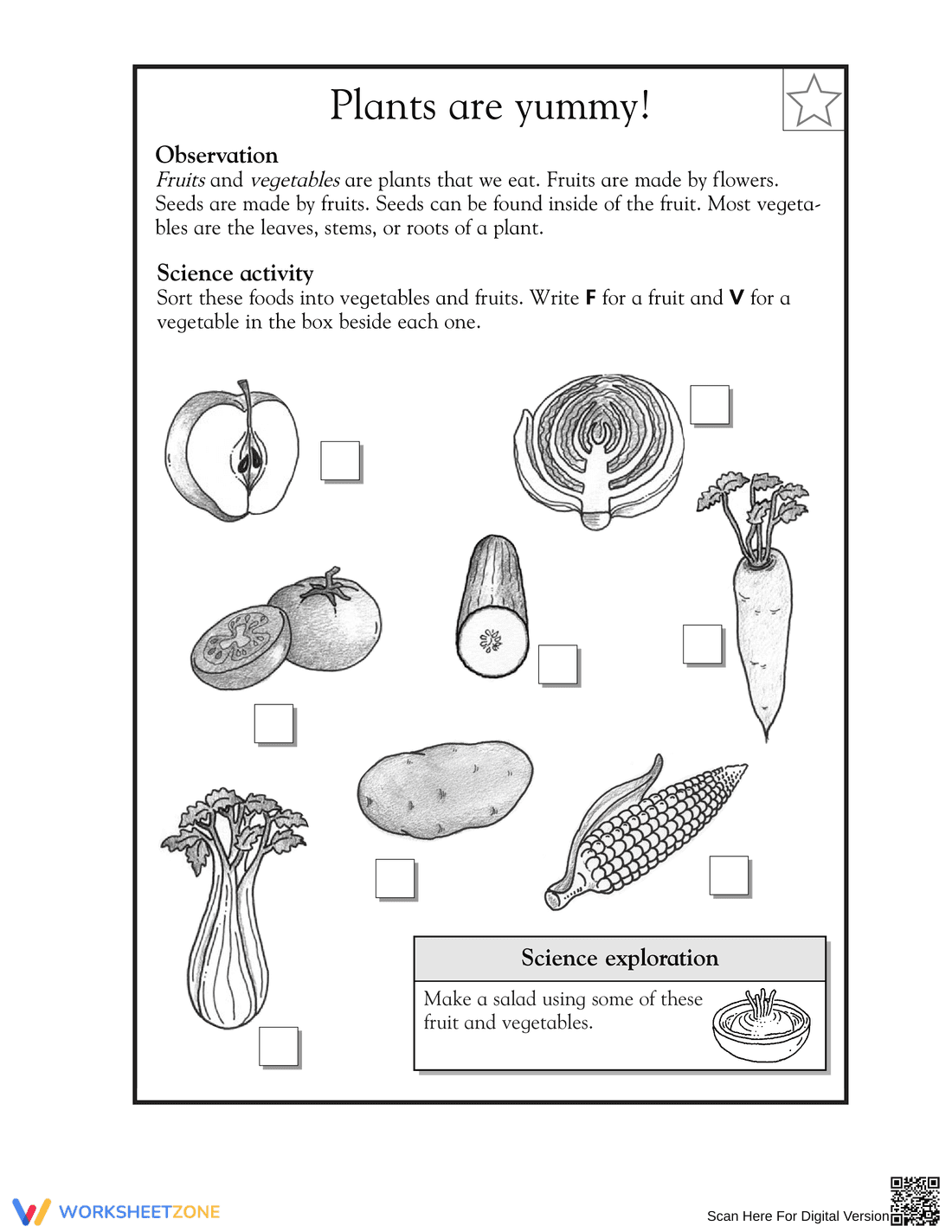 Essential Grade 1 Plants are Yummy Sorting Worksheet - Page 1