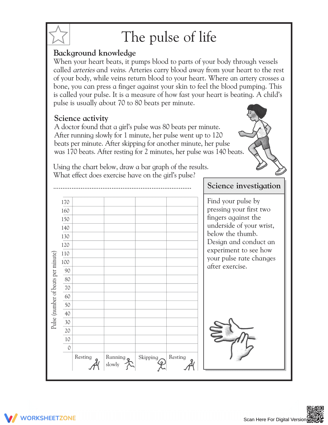 Essential Grade 3 Science Worksheet: Taking Your Pulse - Page 1
