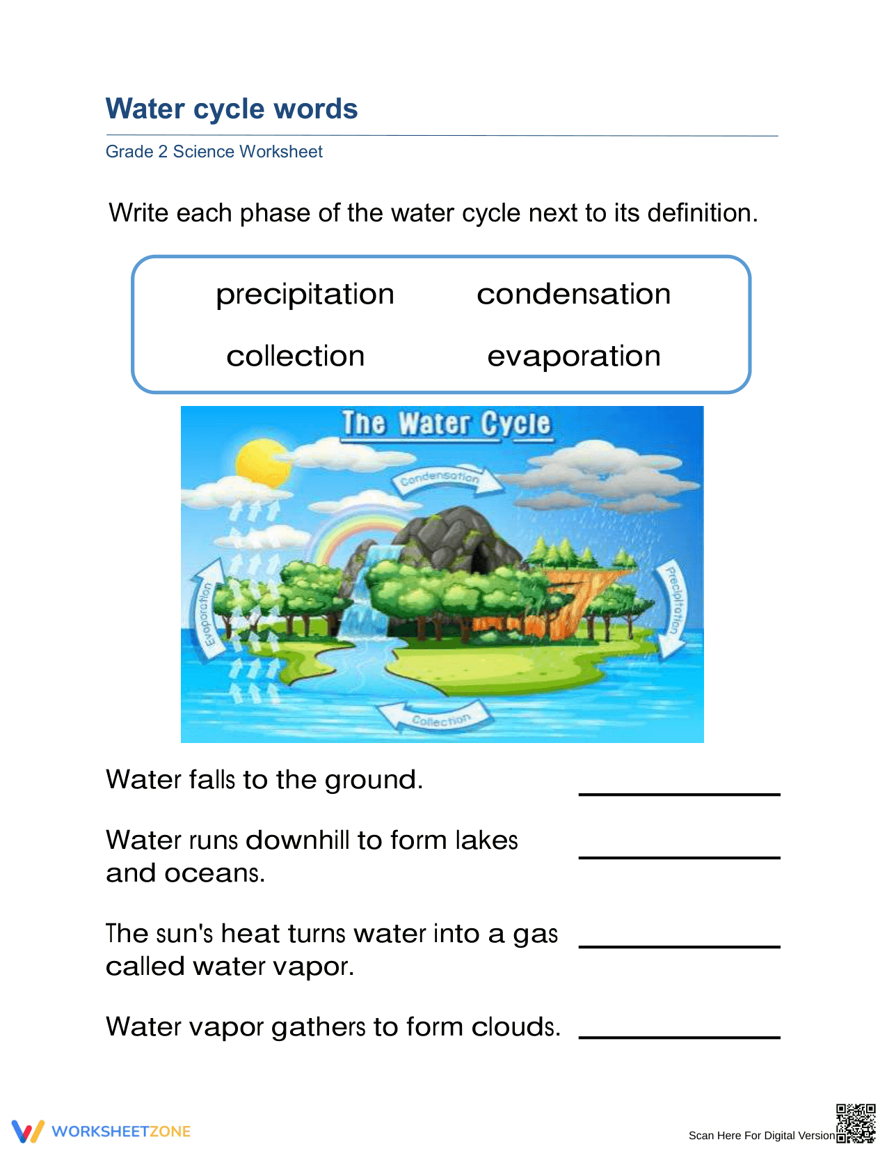 Essential Water Cycle Words Worksheet | Grade 2 Science - Page 1