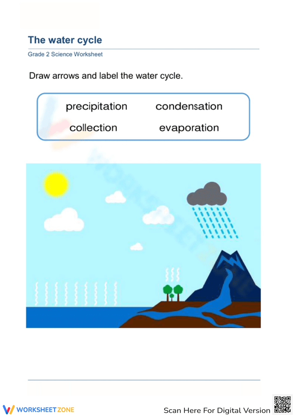 Essential Water Cycle Labeling Worksheet | Grade 2-3 Science - Page 1