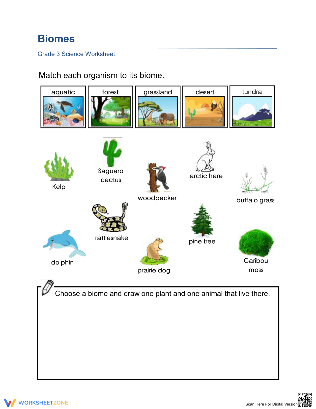 Essential Earth's Biomes Worksheet | Grade 3 Printable - Page 1