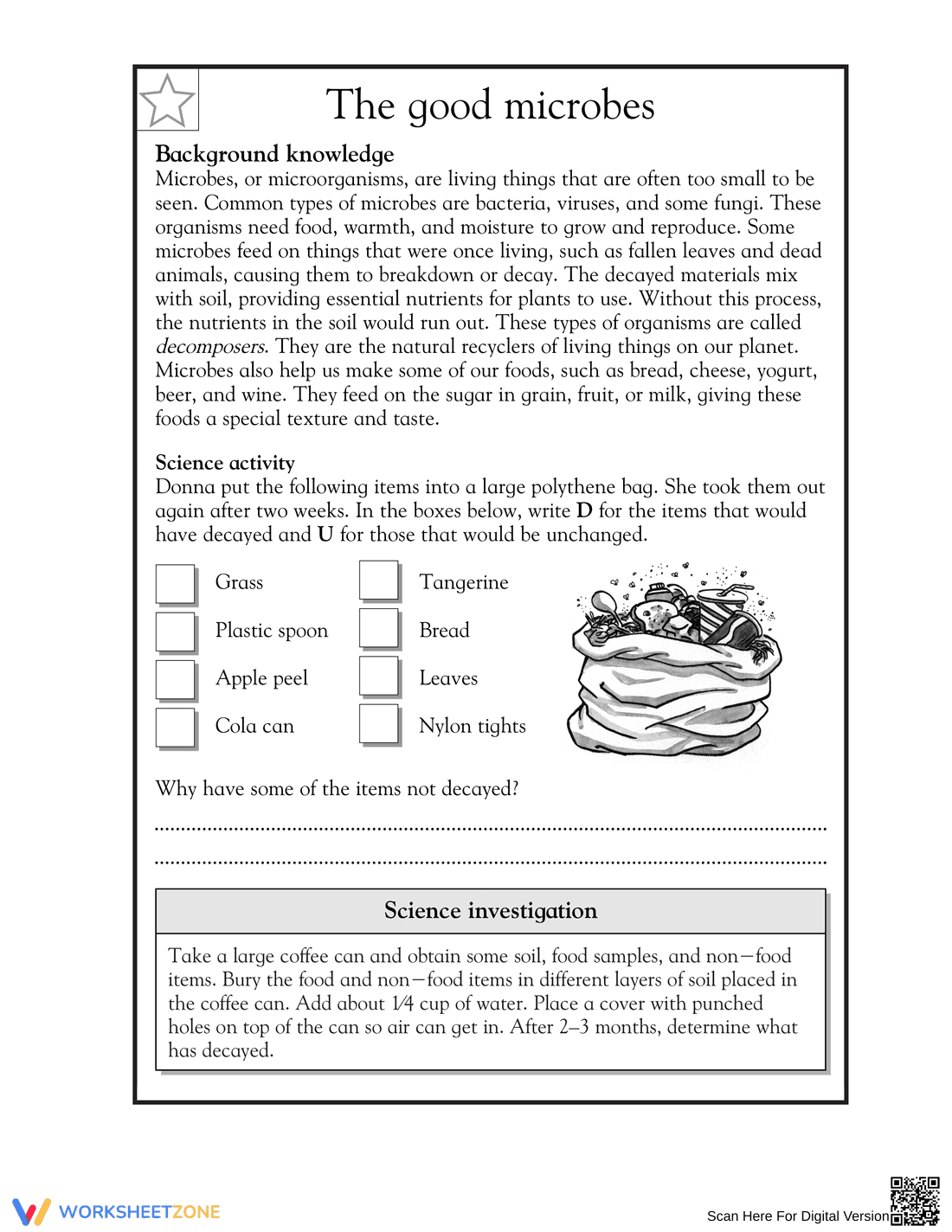 Essential Decomposers Worksheet | Grade 5 Science - Page 1