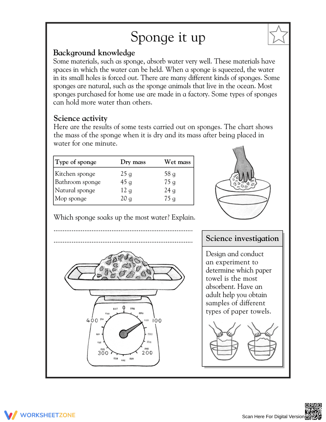 Essential Grade 3 Science Worksheet: Absorption and Sponges - Page 1