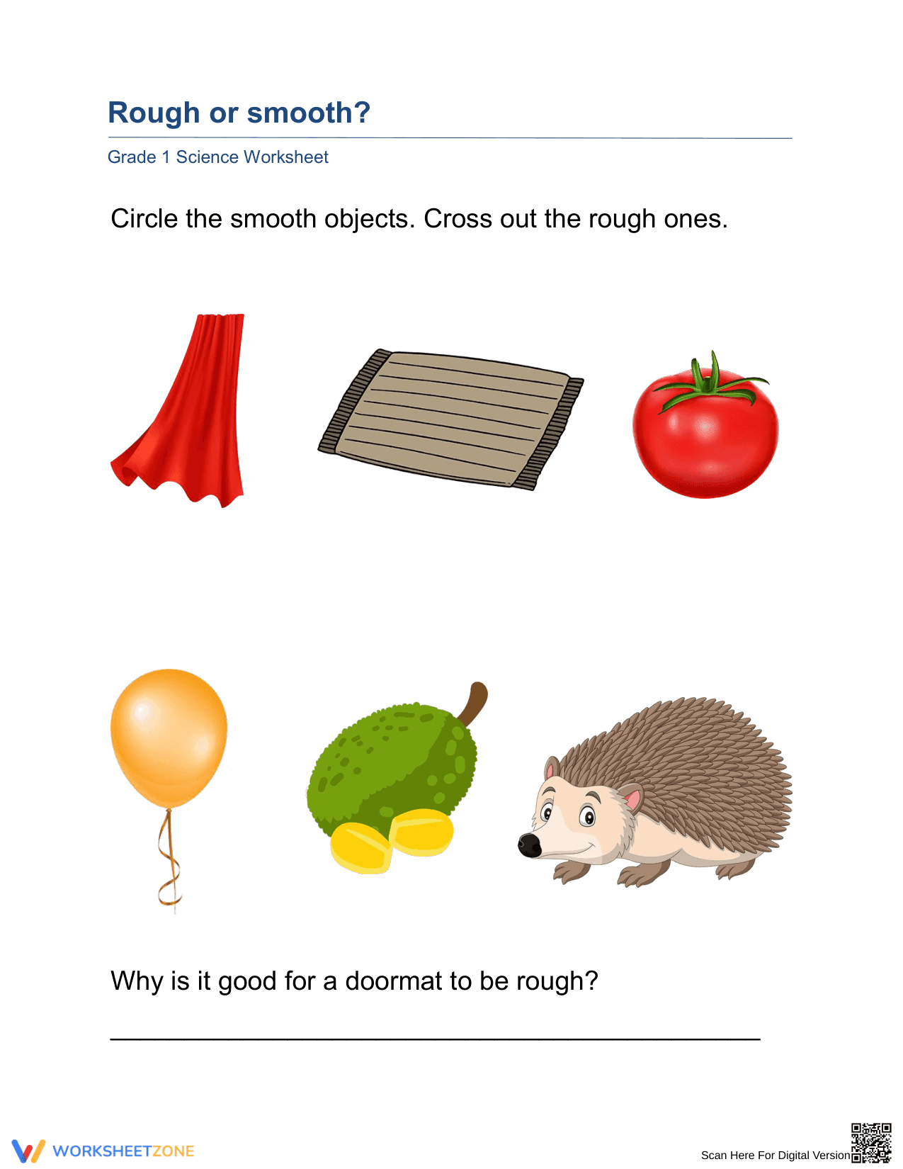 Essential Grade 1 Science: Rough or Smooth? Worksheet - Page 1