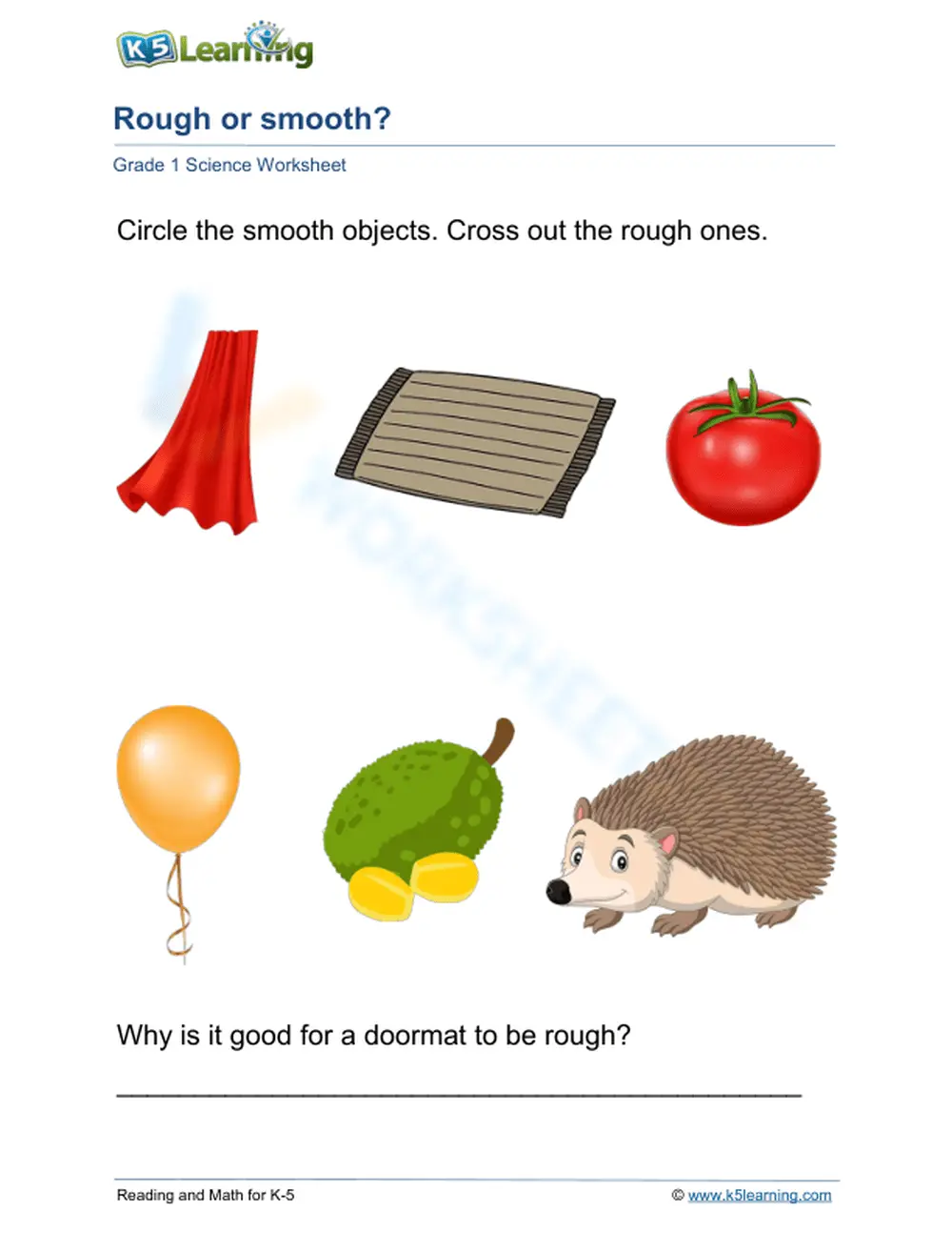 Essential Grade 1 Science: Rough or Smooth? Worksheet - Page 1