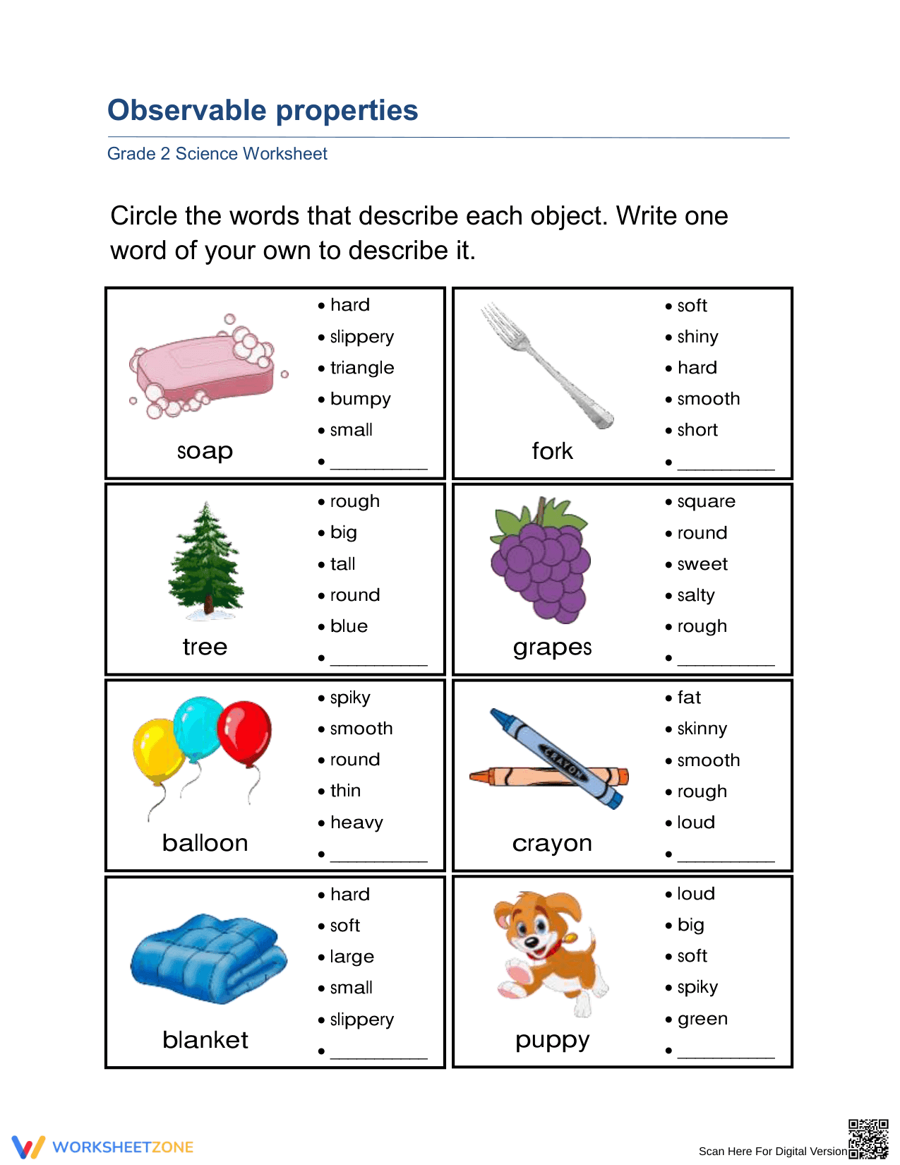 Essential Grade 2 Observable Properties Science Worksheet - Page 1