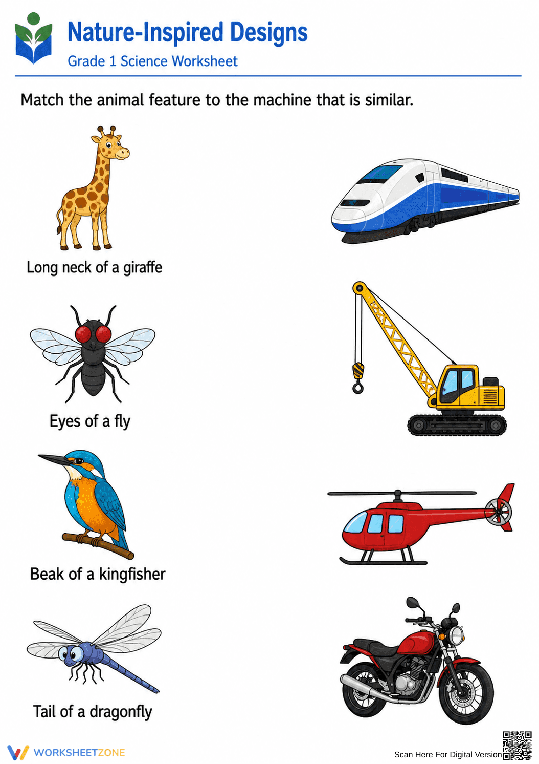 Nature-Inspired Designs Worksheet | Grade 1 Essential - Page 1