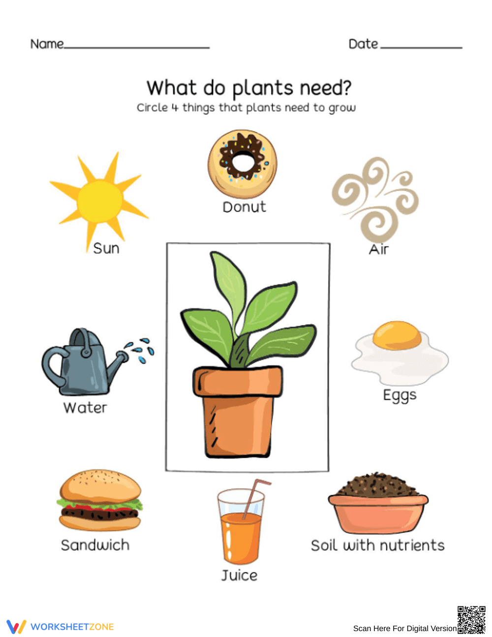Essential Plant Needs Worksheet | Kindergarten Science Ready - Page 1