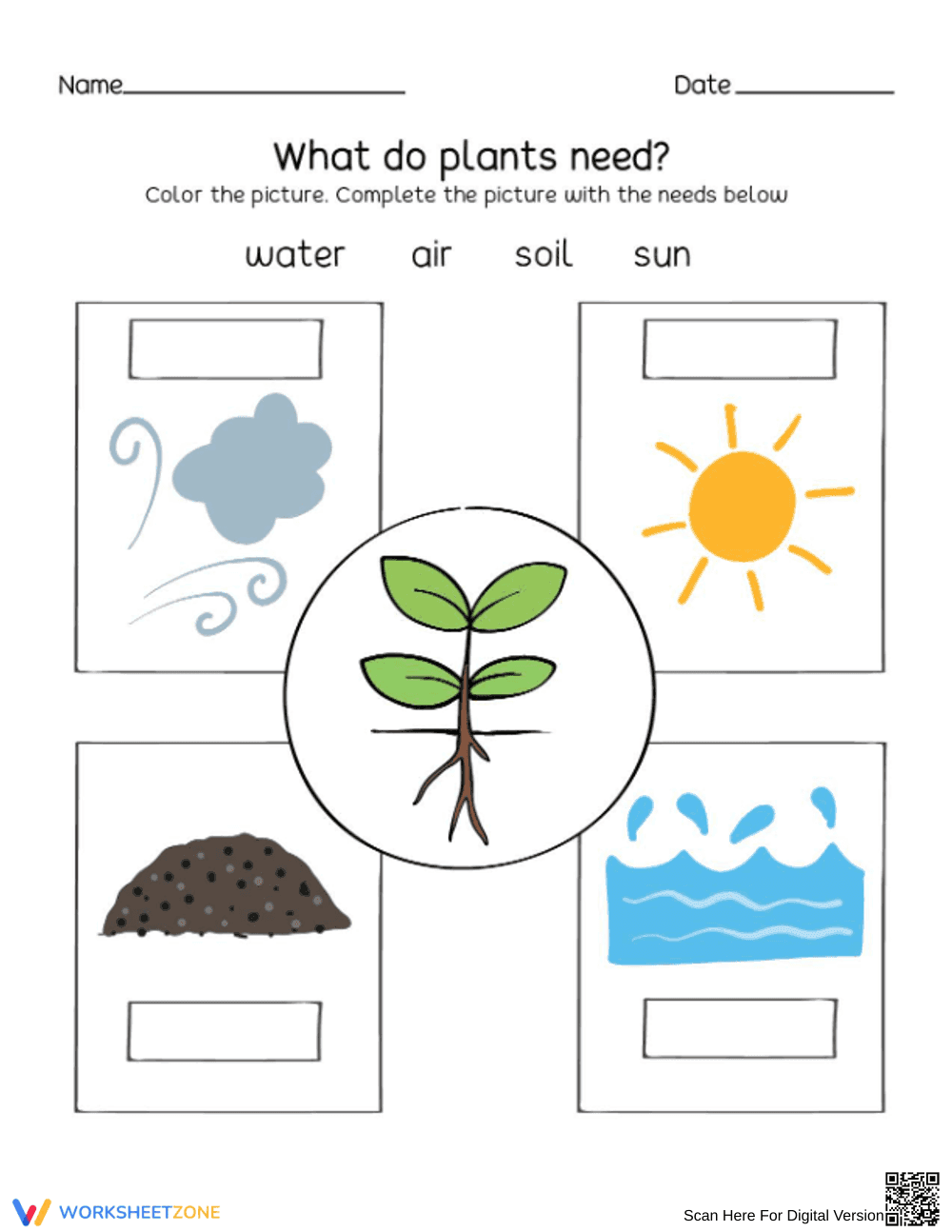 Essential Plant Needs Worksheet | Grade K Science - Page 1