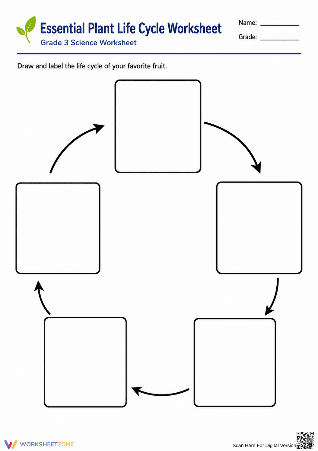 Essential Plant Life Cycle Worksheet | Grade 3 Science - Page 1