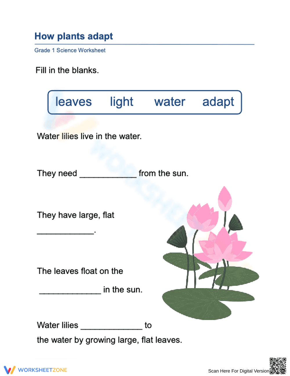 Essential Grade 1 Science: How Water Lilies Adapt Worksheet - Page 1