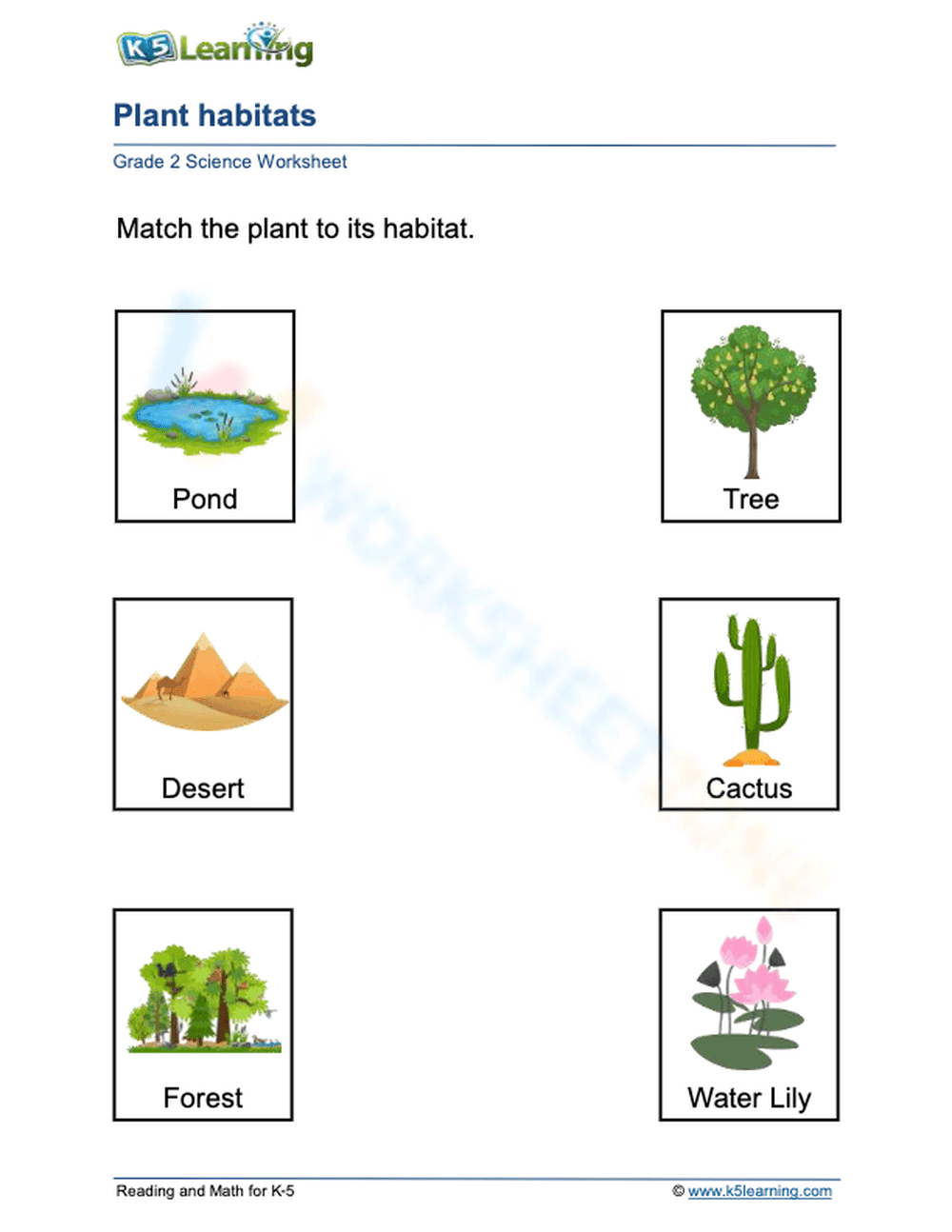 Essential Plant Habitats Worksheet | Grade 1 Science - Page 1