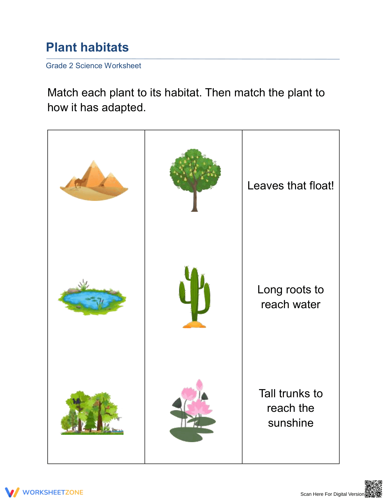 Printable Plant Habitats and Adaptations Worksheet | Grade 2 - Page 1