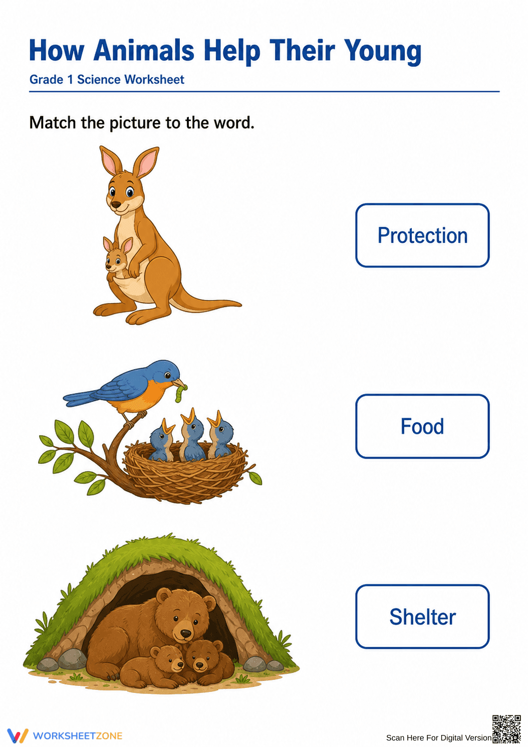 Essential Grade 1 Science: How Animals Help Their Young - Page 1