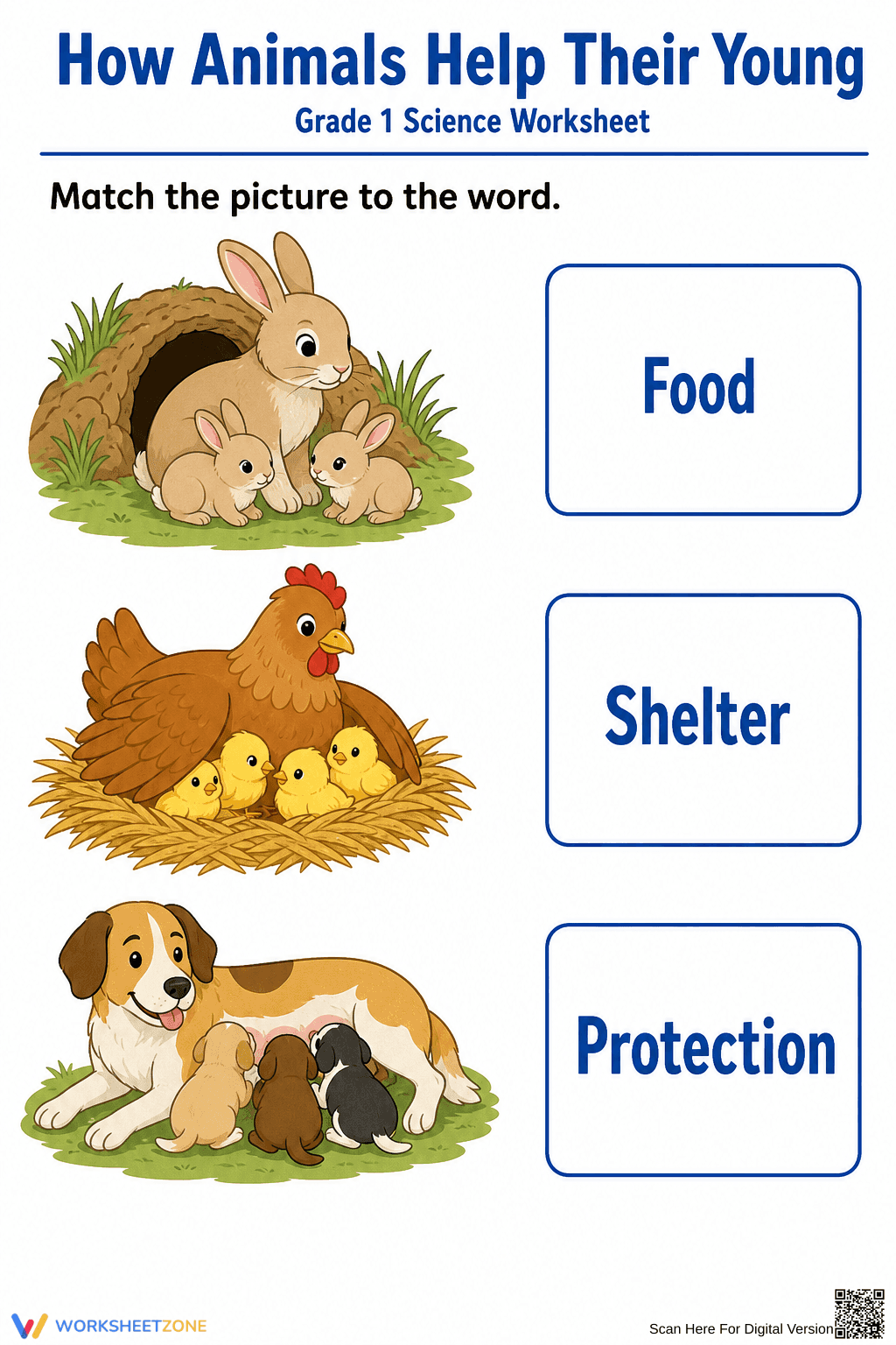 Grade 1 Animal Parents — Printable No-Prep Worksheet - Page 1