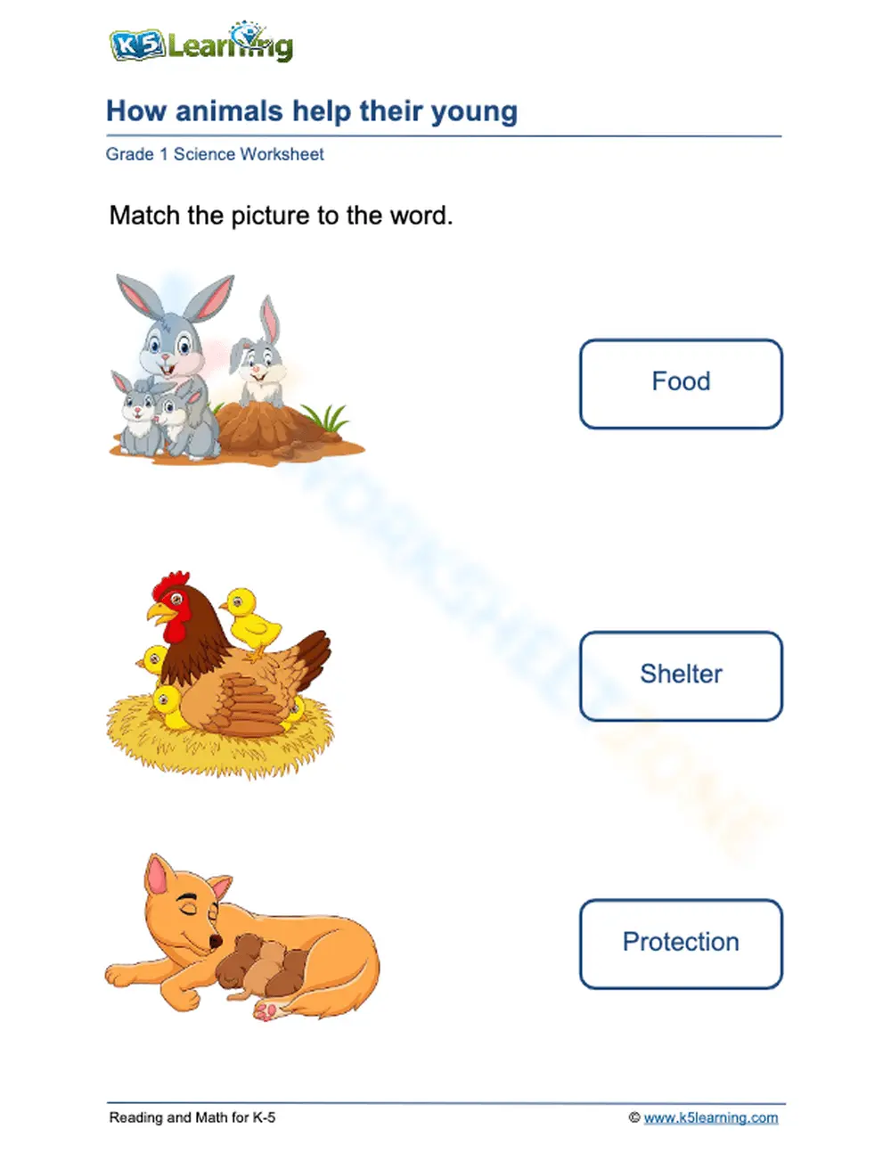 Essential Grade 1 Science: How Animals Help Their Young - Page 1