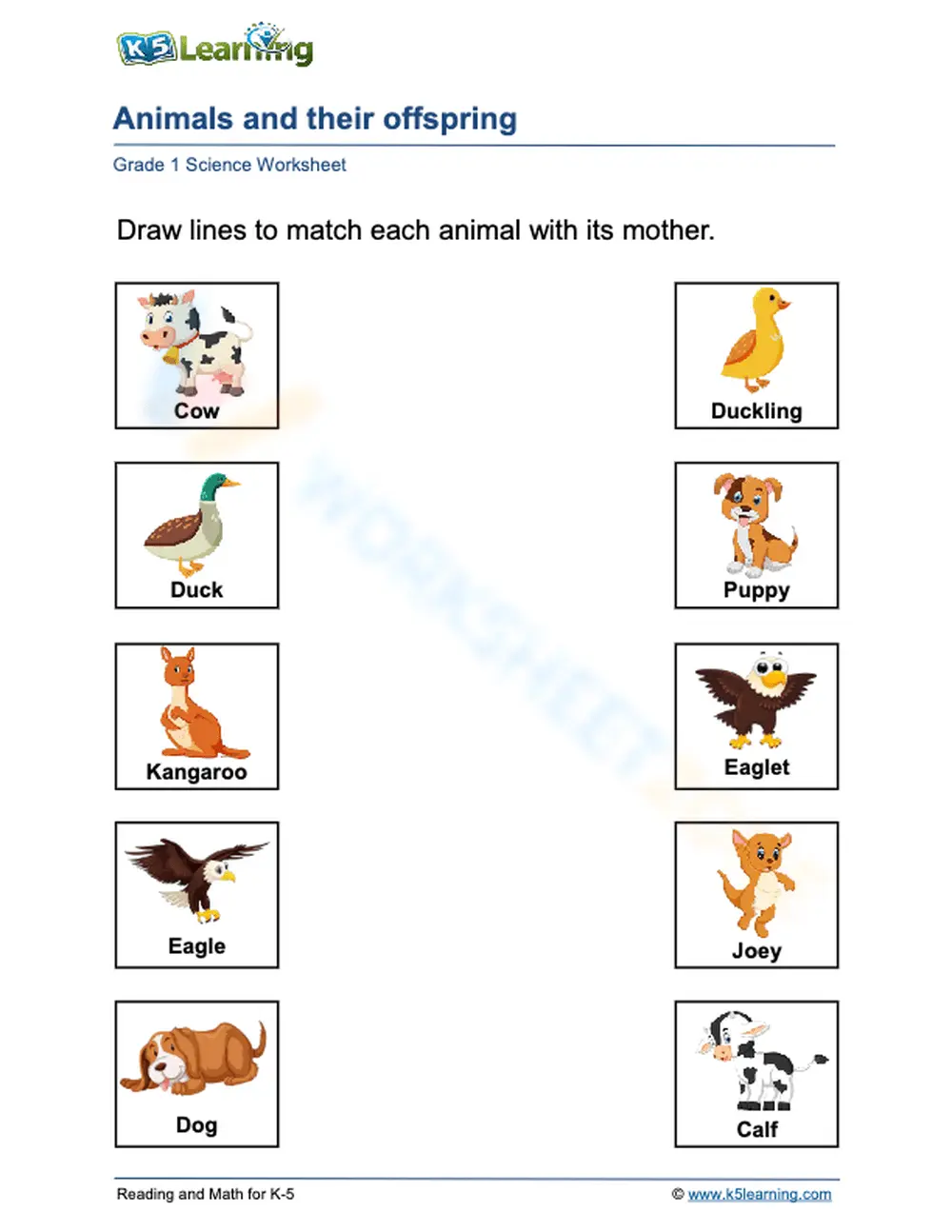 Printable Animal Parents & Offspring Worksheet | Grade 1 - Page 1