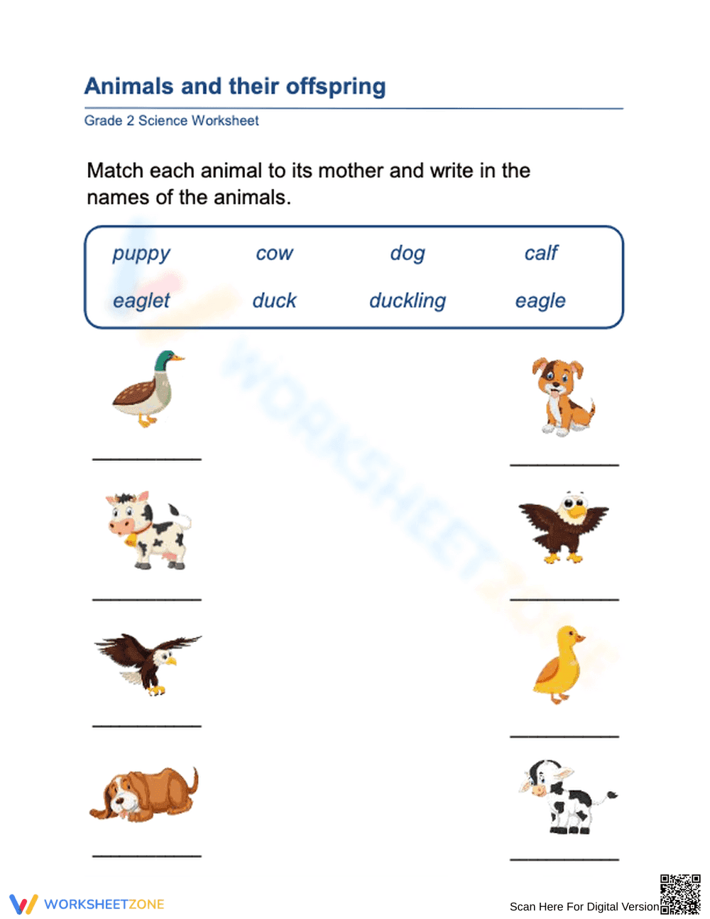 Animals and Offspring Worksheet | Grade 1 Essential - Page 1