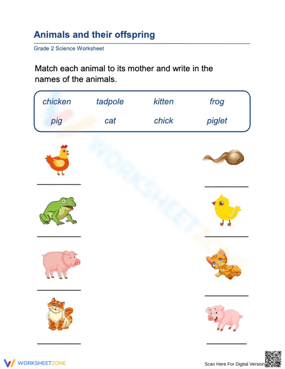 Essential Grade 1 Animals and Offspring Matching Worksheet - Page 1