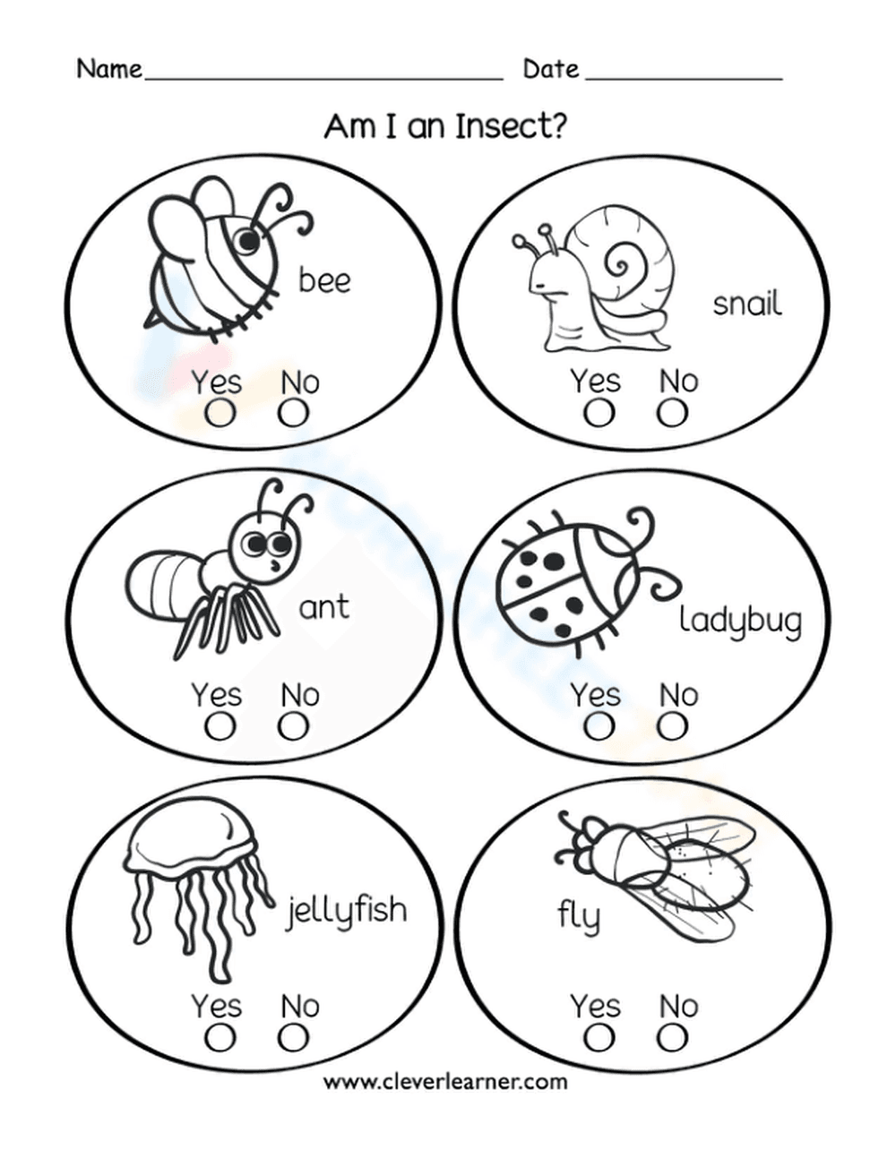 Essential Am I an Insect? Worksheet for Grade 1 & K - Page 1