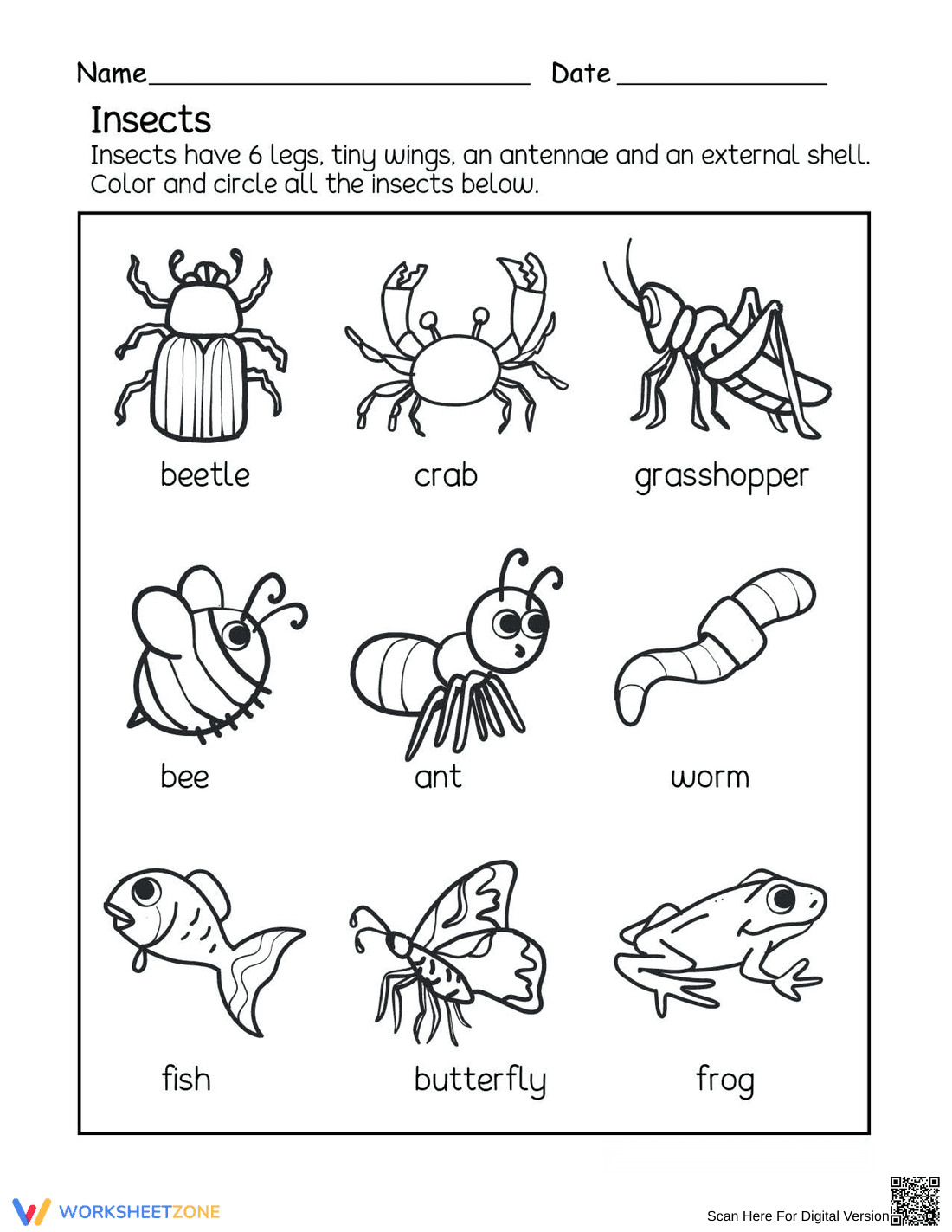 Grade 1 Insects — Printable No-Prep Worksheet - Page 1