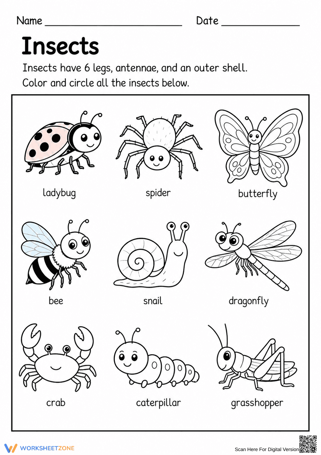 Grade K Insect Identification — Printable No-Prep Worksheet - Page 1
