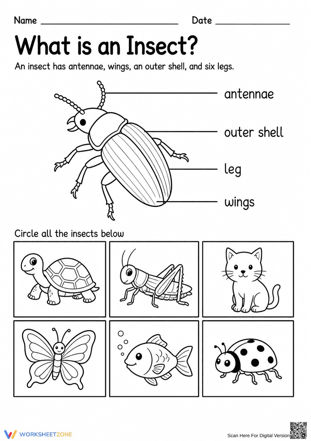 Grade 1 Insects — Printable No-Prep Worksheet - Page 1