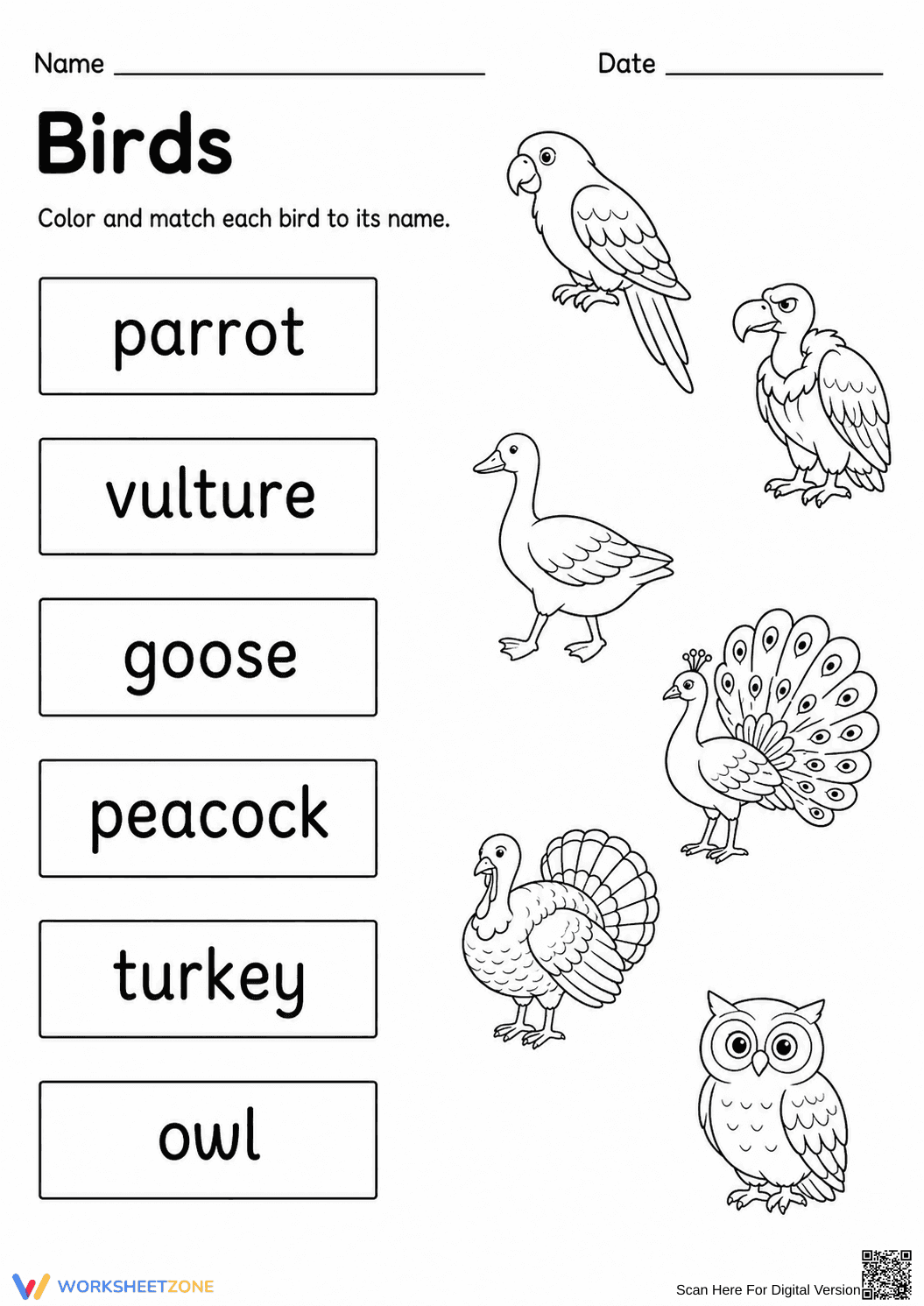 Printable Birds Matching Worksheet | Grade K-1 Science - Page 1