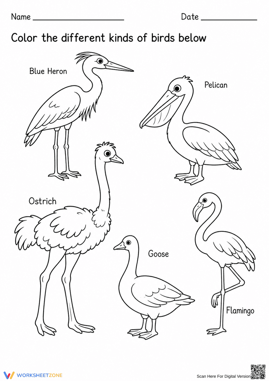 Grade K-1 Kinds of Birds — Printable No-Prep Worksheet - Page 1