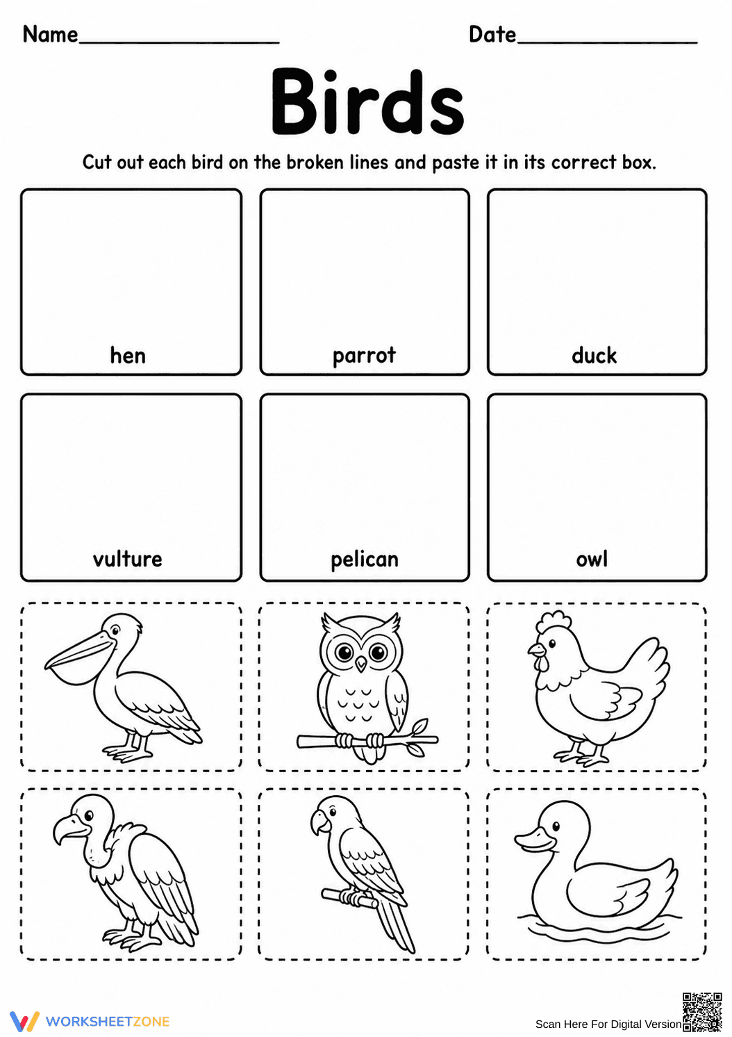 Essential Birds Cut and Paste Worksheet | Grade K-1 - Page 1