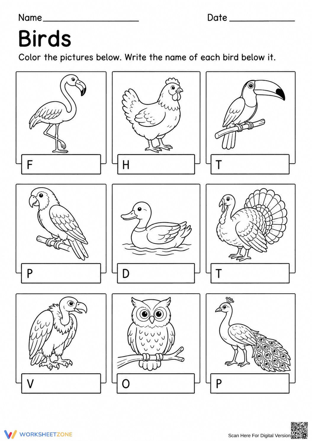 Grade K-1 Bird Naming — Printable No-Prep Worksheet - Page 1