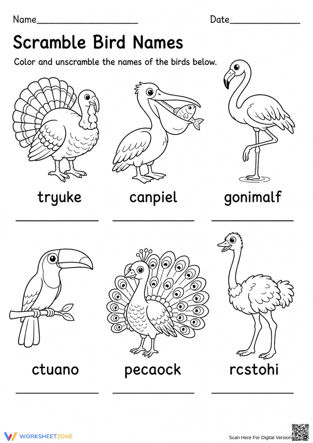 Printable Bird Names Scramble Worksheet | Grade K-1 - Page 1