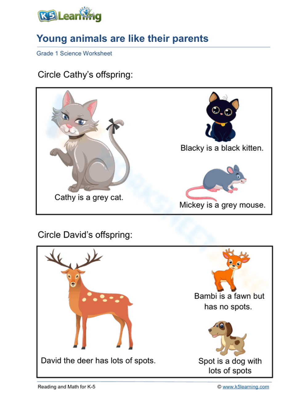 Essential Grade 1 Science: Young Animals Like Their Parents - Page 1
