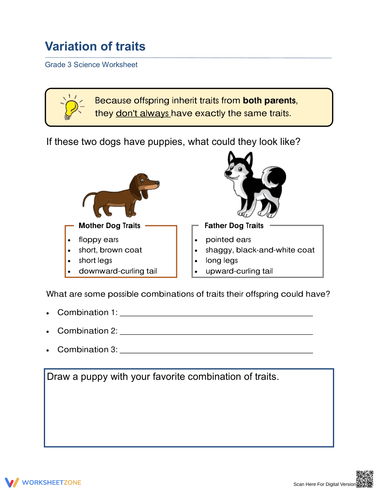 Essential Variation of Traits Worksheet | Grade 3 Science - Page 1