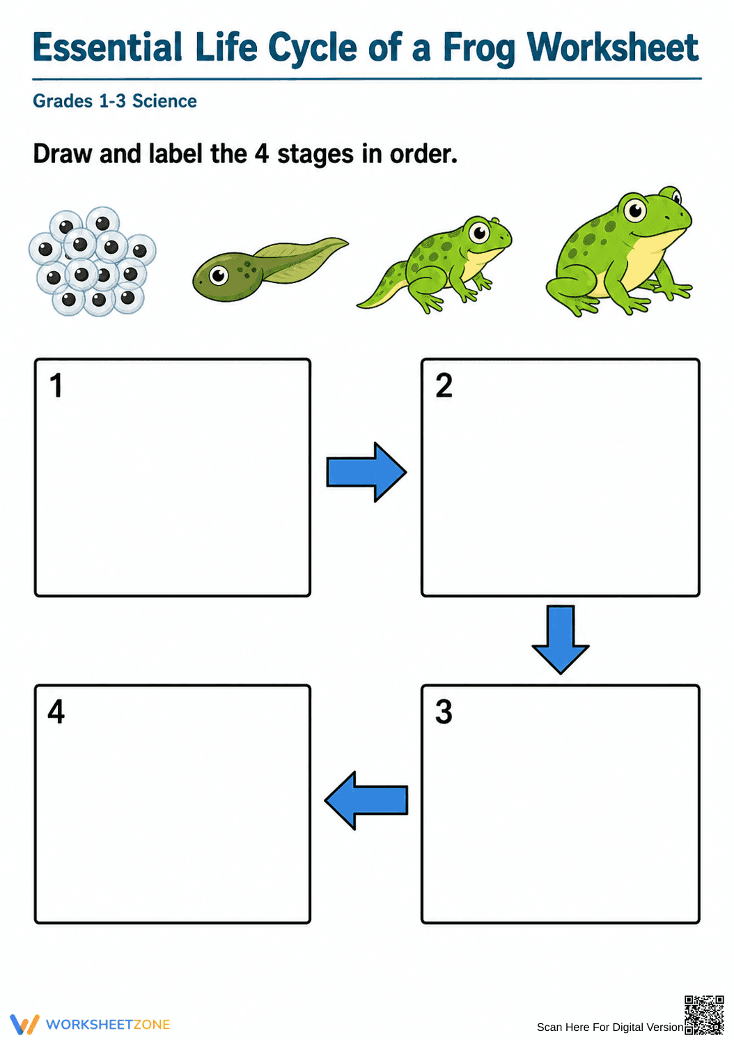 Grade 1-3 Frog Life Cycle — Printable No-Prep Worksheet - Page 1