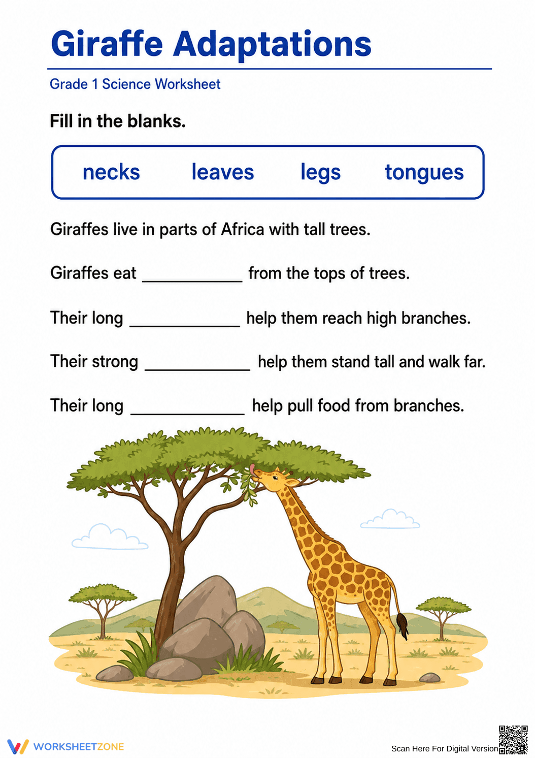 Essential Grade 1 Giraffe Adaptations Worksheet - Page 1
