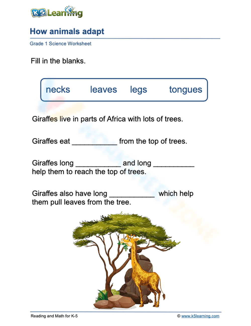 Essential Grade 1 Giraffe Adaptations Worksheet - Page 1
